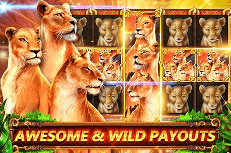 Gameplay screenshot from slot machines great cat slots free vegas pokies for Android