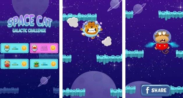  Space Cat - Galactic Challenge