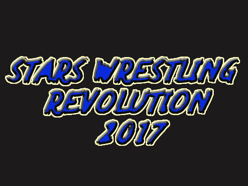 stars wrestling revolution 2017 real punch boxing