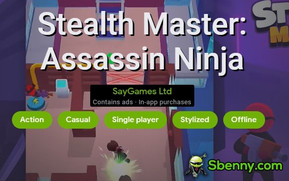 Stealth-Meister-Attentäter Ninja