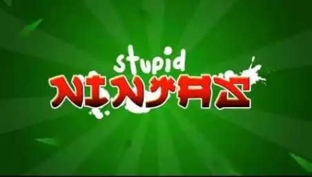  Stupid Ninjas
