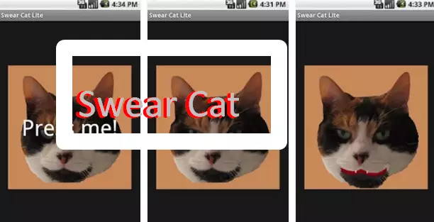  Swear Cat