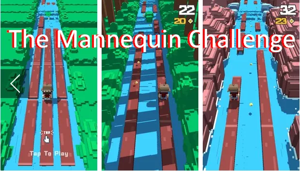  The Mannequin Challenge