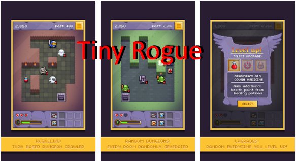  Tiny Rogue