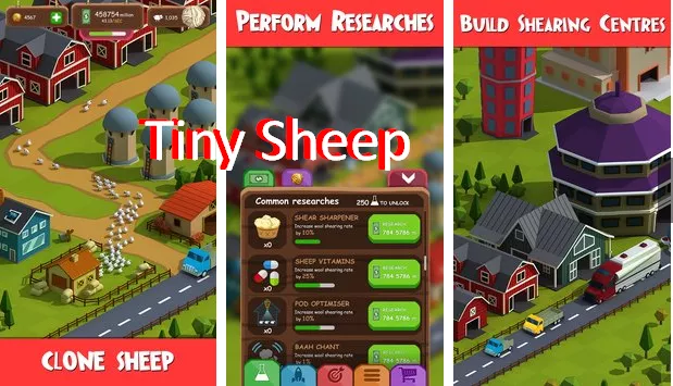 tiny sheep