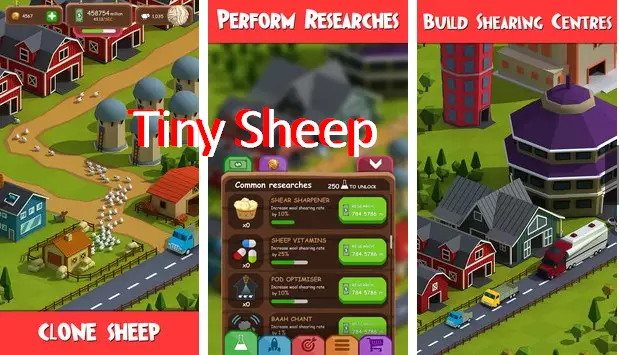 tiny sheep