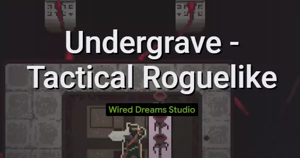  Undergrave -Tactical Roguelike APK