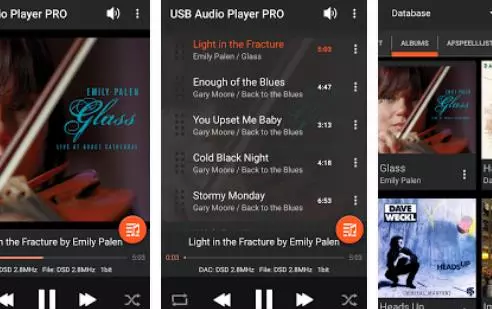 Gameplay screenshot from usb audio player pro for Android