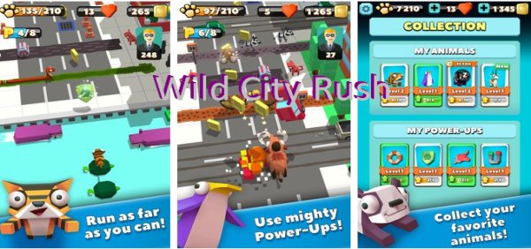 wild city rush