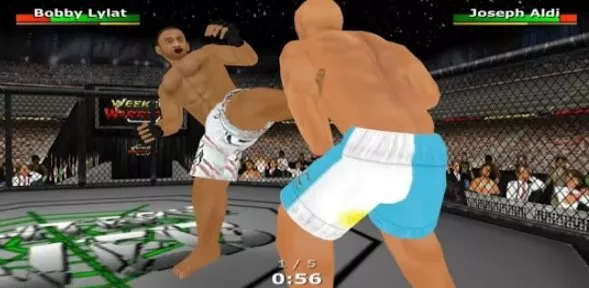 Gameplay screenshot from weekend warriors mma for Android