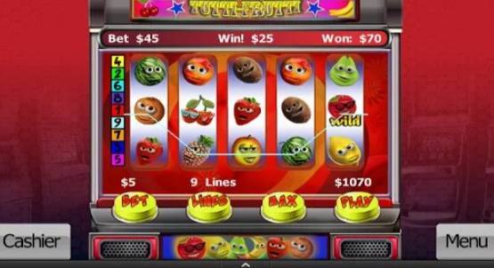 Gameplay screenshot from video slots and poker for Android