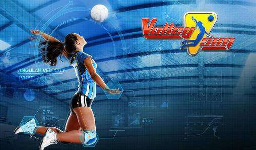 VolleySim