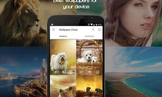 Gameplay screenshot from wallpapers for Android