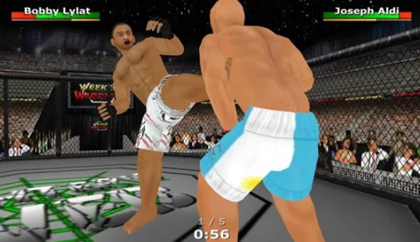 Gameplay screenshot from weekend warriors mma for Android