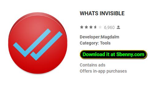 whats invisible