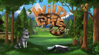 Animais selvagens - América COMPLETO