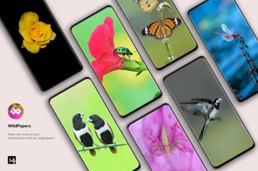 Wildpapers Tierfotografie Allpapers MOD APK Android