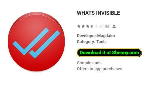 whats invisible