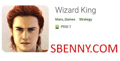 wizard king