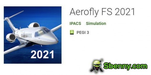 Aerofly FS 2021.