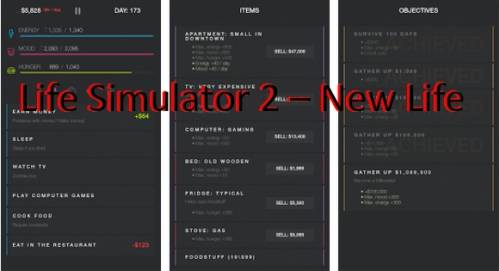 Life Simulator 2 - Nouvelle vie MOD APK