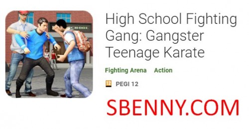 High School Fighting Gang: Gangster Teenage Karate MOD APK