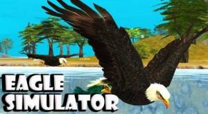 Simulador de águila APK