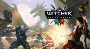 ה-Witcher Battle Arena MOD APK