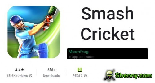 Smash Cricket MODDADO