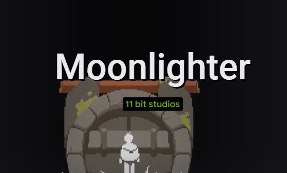 Moonlighter MODDED