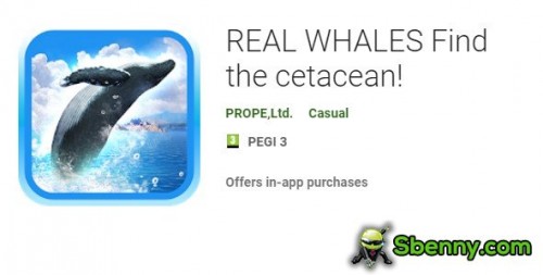 BALENE REALI Trova il cetaceo!