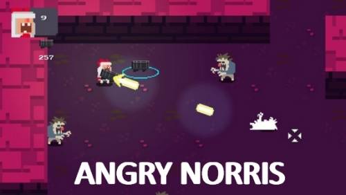 Angry Norris APK