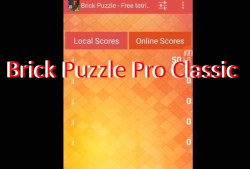 Brick Puzzle Pro clássico APK