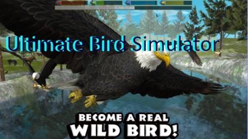 Último simulador de aves MOD APK