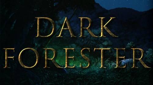 APK - بازی Dark Forester