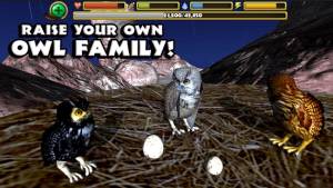 Owl Simulator APK